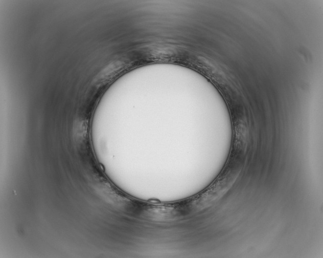 X0000111450278200908031420