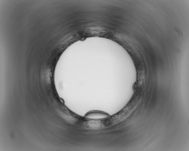 X0000111450279200908031420
