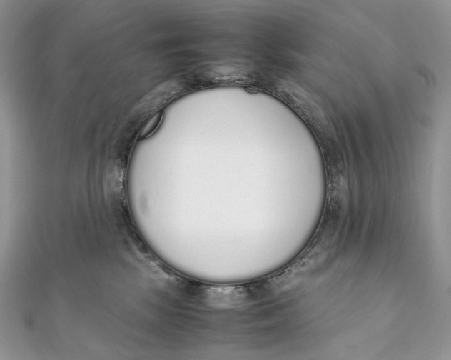X0000111450281200908031420
