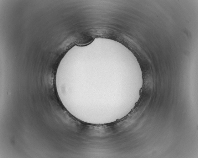 X0000111450282200908031420