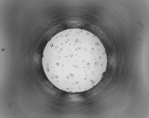 X0000111450283200908031420