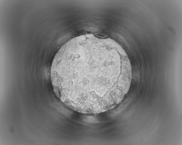 X0000111450285200908031420