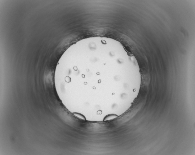 X0000111450286200908031420