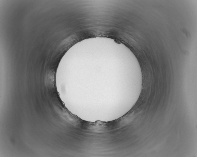 X0000111450288200908031420