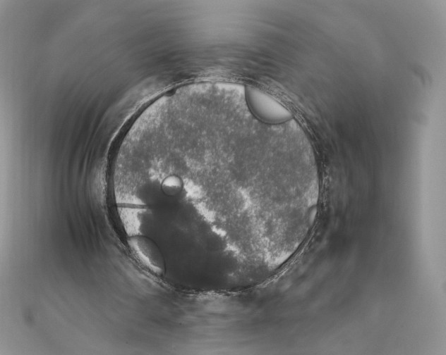 X0000111450290200908031419