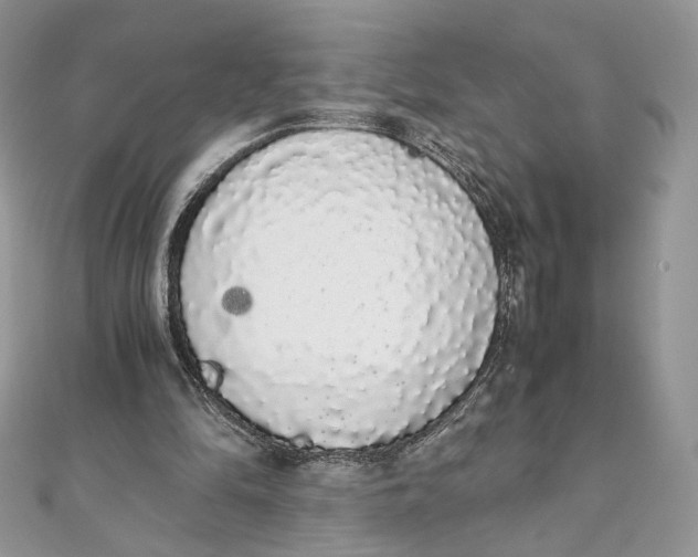 X0000111450294200908031419