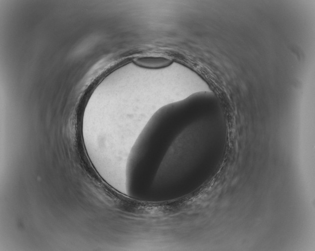 X0000111450295200908031419