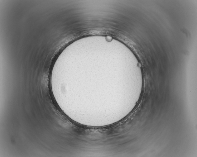 X0000111450297200908031419