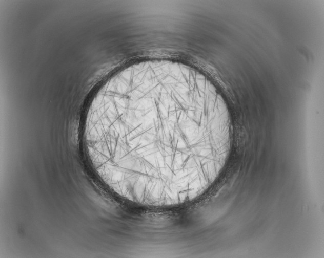 X0000111450299200908031419
