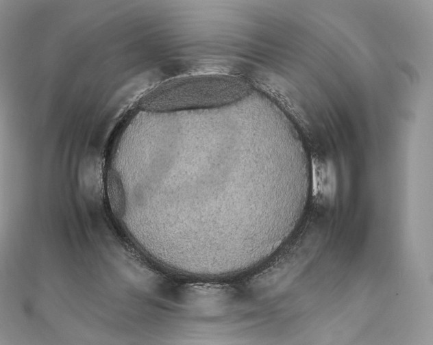 X0000111450300200908031419