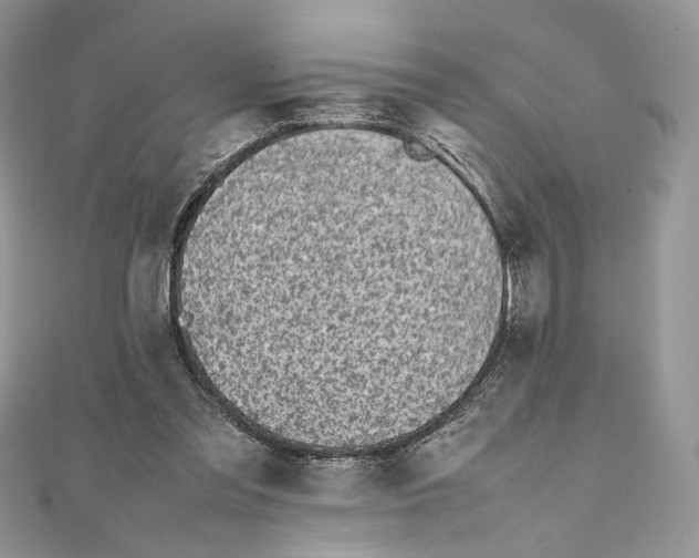 X0000111450301200908031419