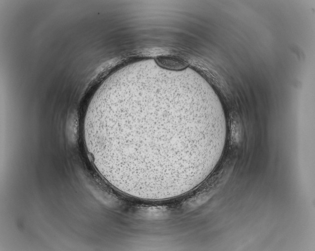 X0000111450304200908031419