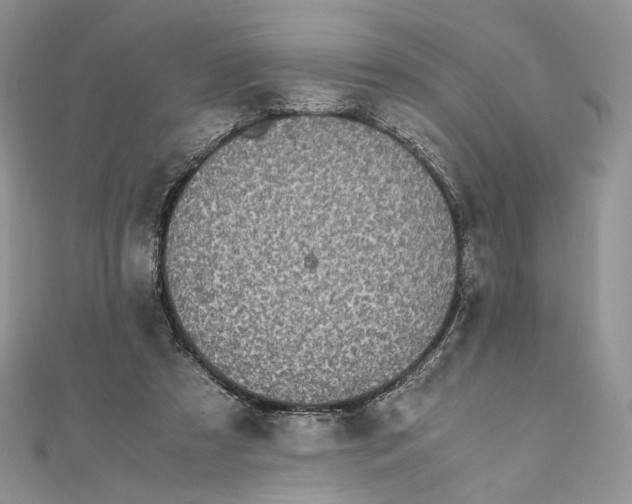 X0000111450305200908031419