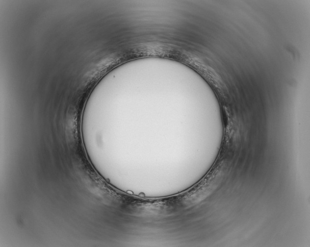 X0000111450306200908031419