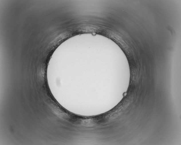 X0000111450309200908031419