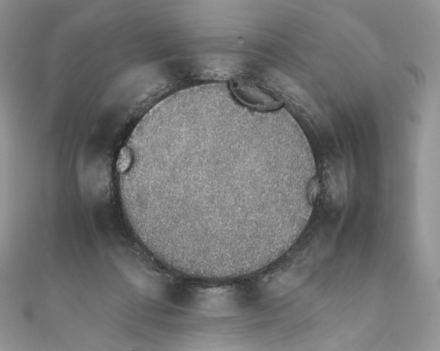 X0000111450312200908031419