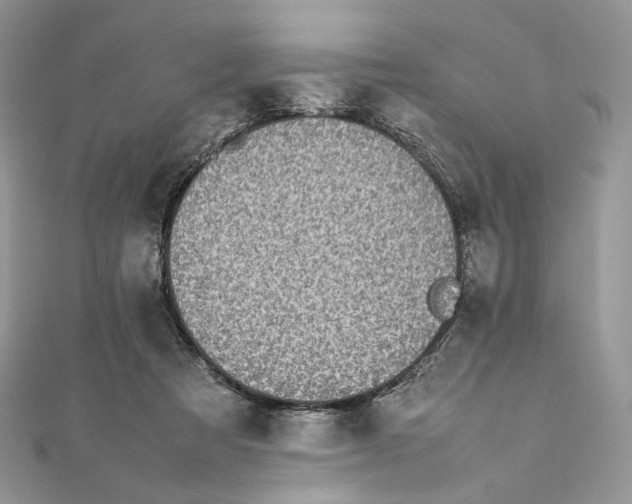 X0000111450313200908031419