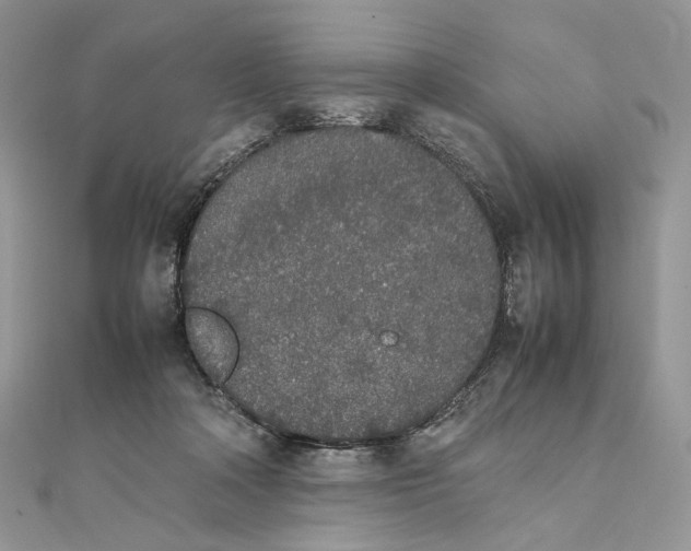 X0000111450314200908031419