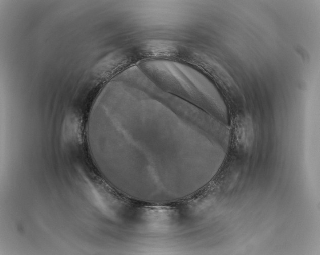 X0000111450316200908031419