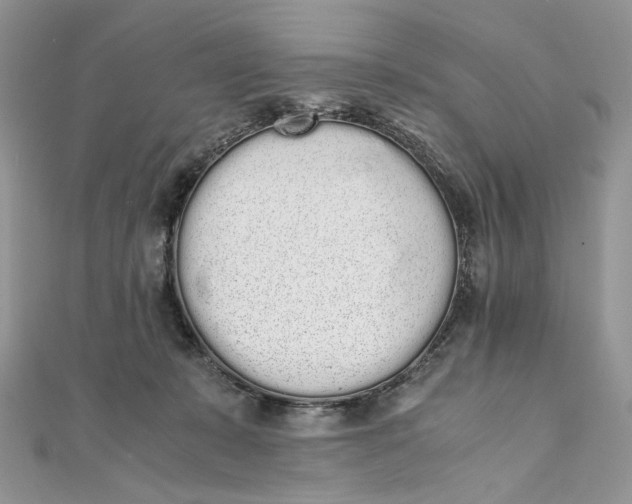 X0000111450319200908031419
