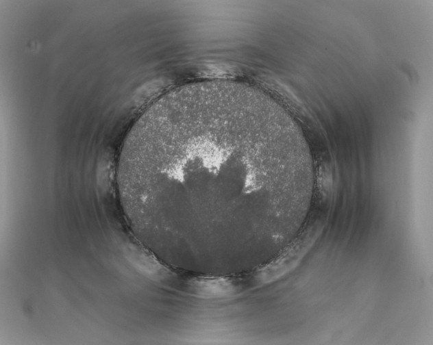 X0000111450322200908031419