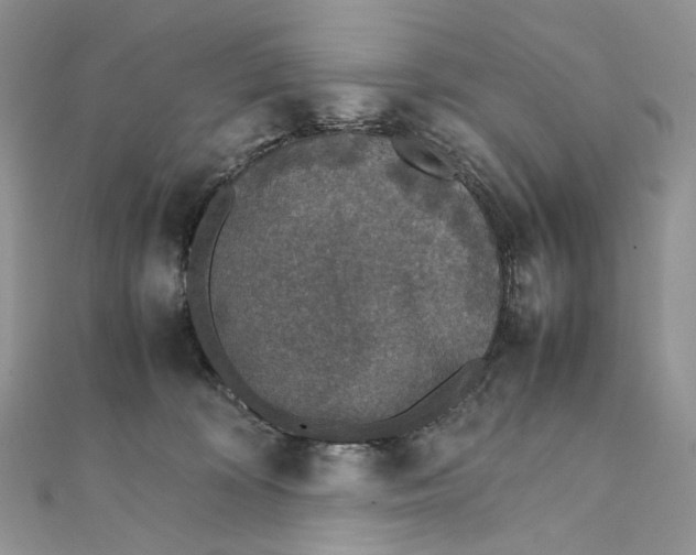 X0000111450324200908031419