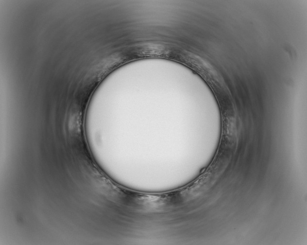 X0000111450326200908031419