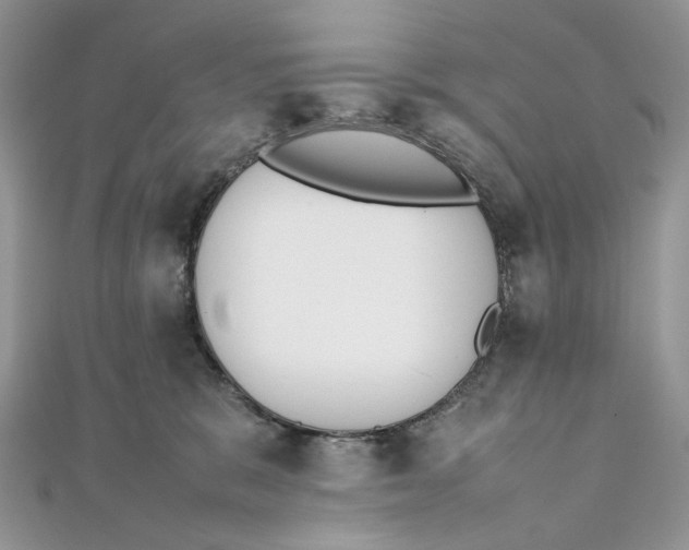 X0000111450327200908031419
