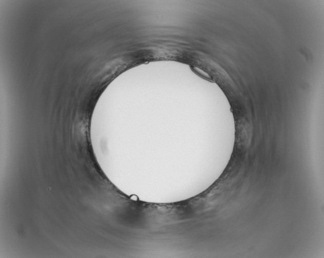X0000111450329200908031419