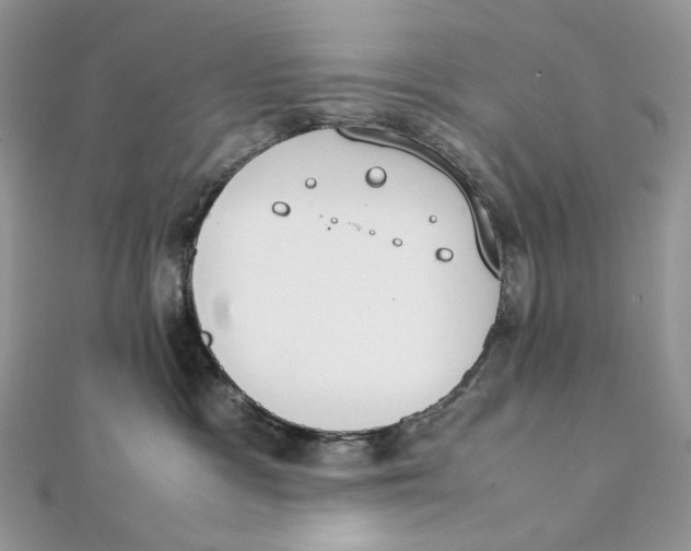 X0000111450333200908031419