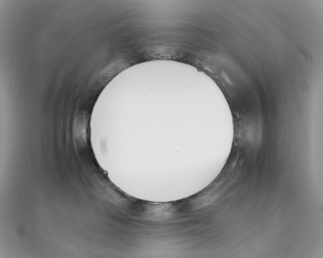 X0000111450334200908031419