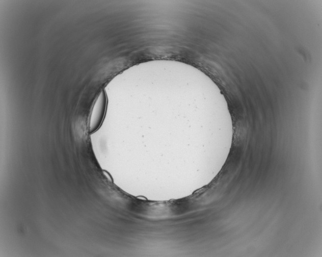 X0000111450335200908031419