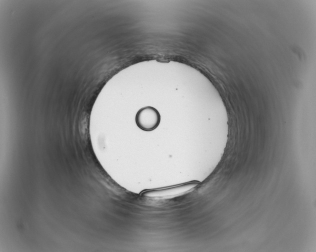 X0000111450336200908031419