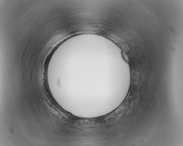 X0000111450338200908031418