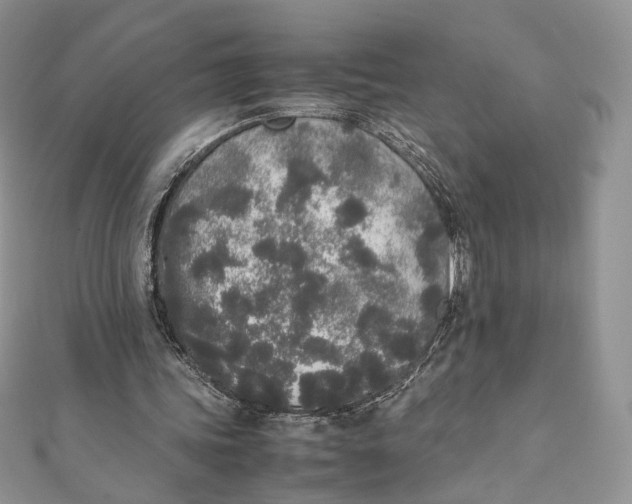X0000111450339200908031418