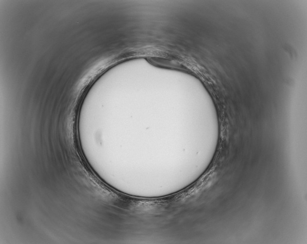 X0000111450341200908031418
