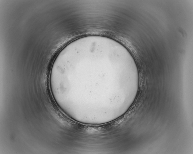 X0000111450346200908031418