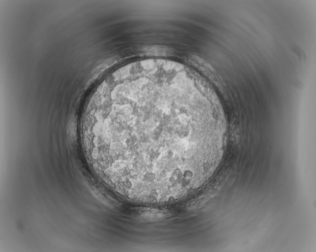 X0000111450347200908031418