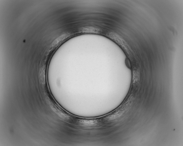X0000111450349200908031418