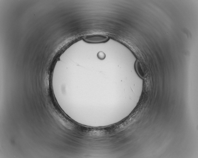 X0000111450350200908031418