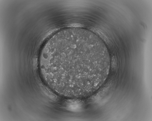 X0000111450351200908031418