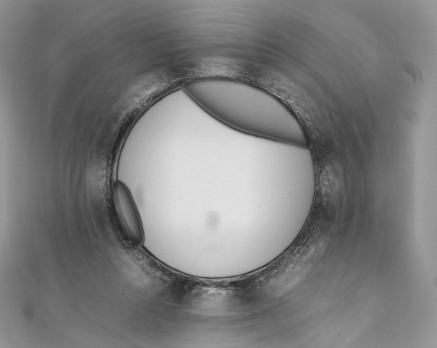 X0000111450352200908031418