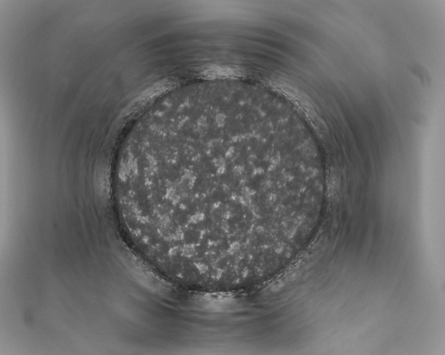 X0000111450353200908031418
