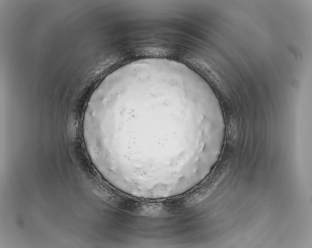 X0000111450355200908031418