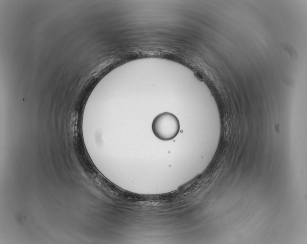 X0000111450356200908031418