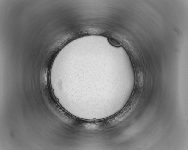 X0000111450358200908031418
