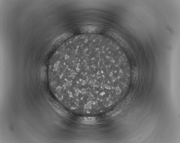X0000111450361200908031418
