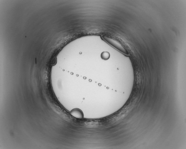 X0000111450362200908031418