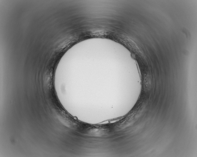 X0000111450364200908031418