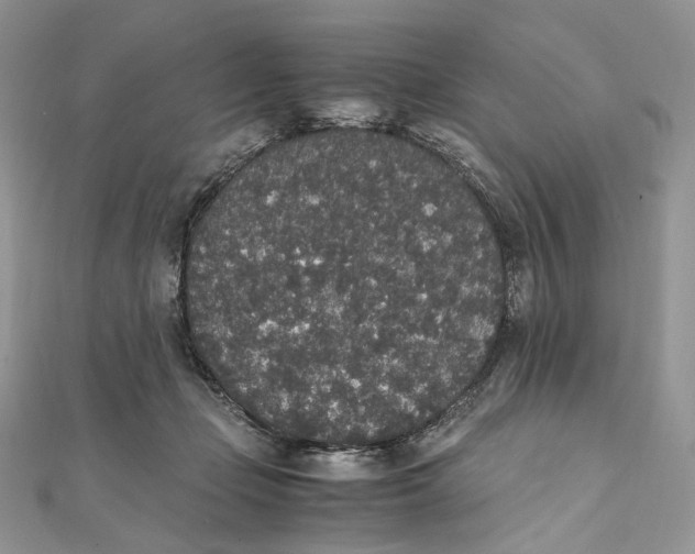 X0000111450365200908031418